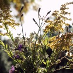 Bouquet of Weeds